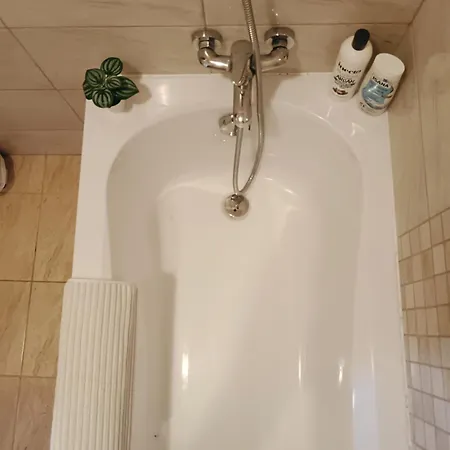Apartman Tulipan *