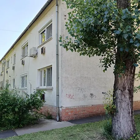 Tulipan Apartment