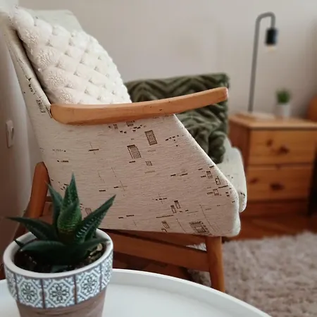 Tulipan Apartment