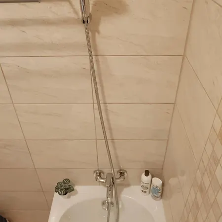 Apartman Tulipan *