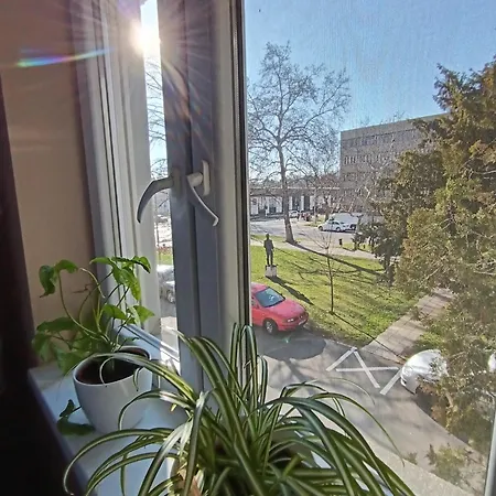 Tulipan Apartmán