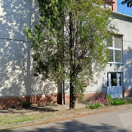 Tulipan * Bekescsaba