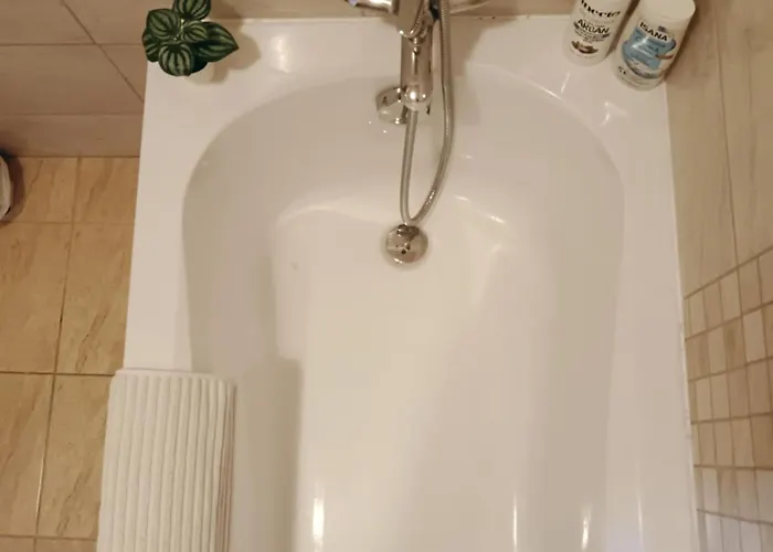 Apartament Tulipan *