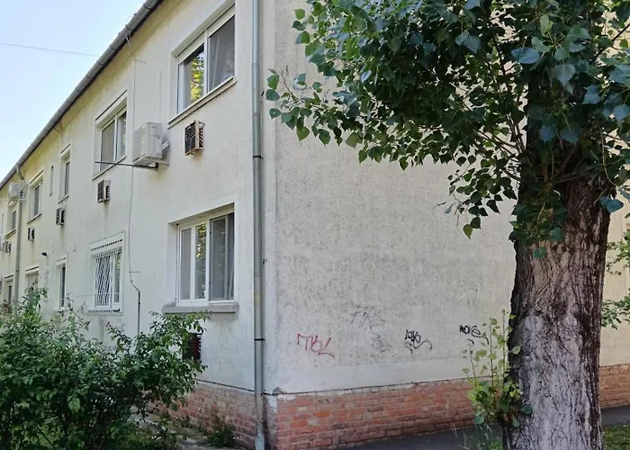 Tulipan Apartament