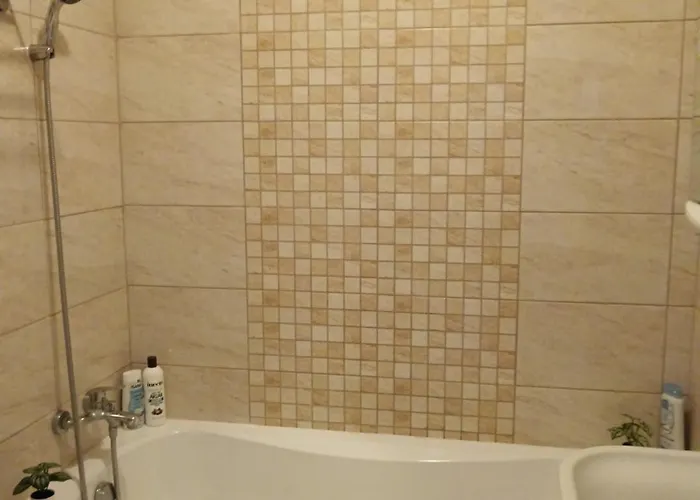 Tulipan Apartament
