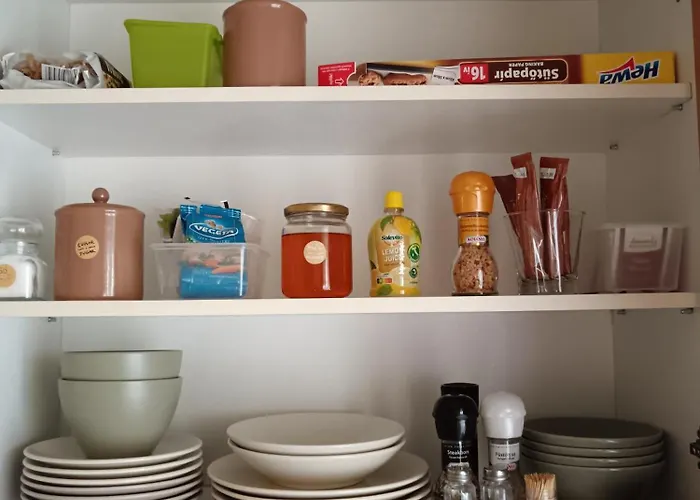 Apartament Tulipan *