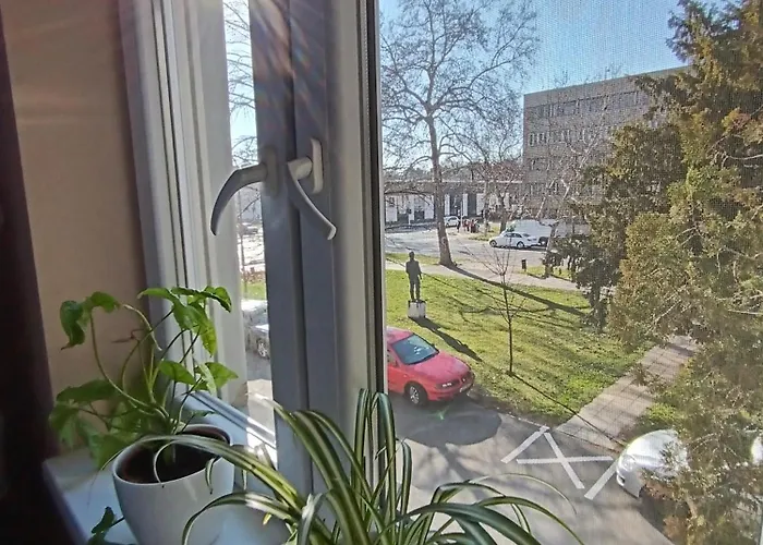 Tulipan Apartament