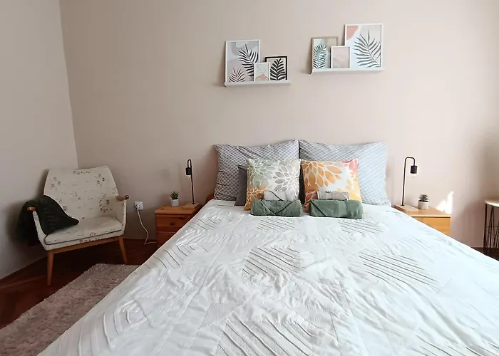 Tulipan Apartament