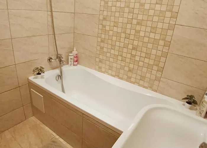 Tulipan Apartament